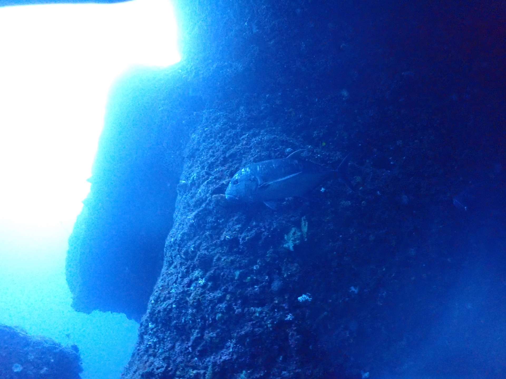【宮古島ファンダイビング】大迫力の海底アーチ